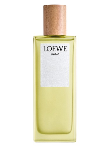 Loewe Agua de Loewe edt